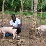 He's the first one to try out pig farming.